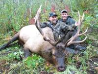 BC Mountain Caribou