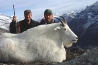 BC Mountain Caribou