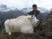 BC Mountain Caribou