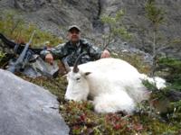 BC Mountain Caribou