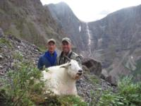 BC Mountain Caribou