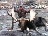 BC Mountain Caribou