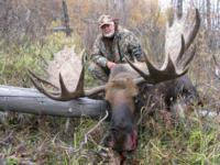 BC Mountain Caribou