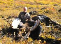 BC Mountain Caribou