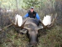 BC Mountain Caribou