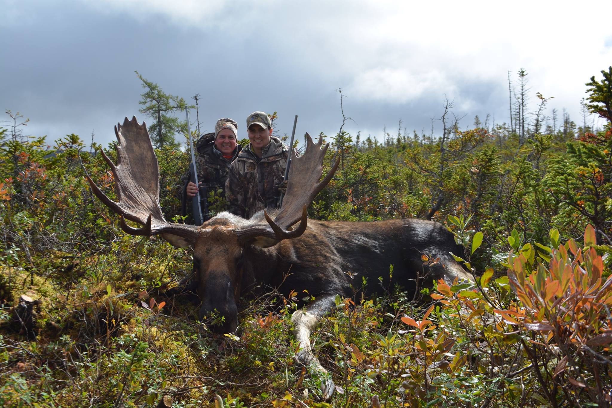 Trophy Woodland Caribou | Newfoundland