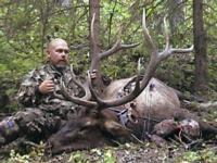 Alberta Elk