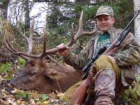 Alberta Elk