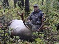 Alberta Elk