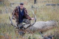 British Columbia Elk