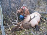 British Columbia Elk