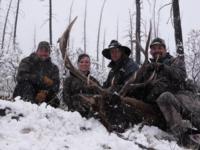 British Columbia Elk