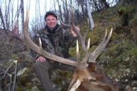 British Columbia Elk