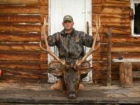 British Columbia Elk