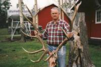 British Columbia Elk