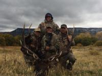 Colorado Elk | Unit 41