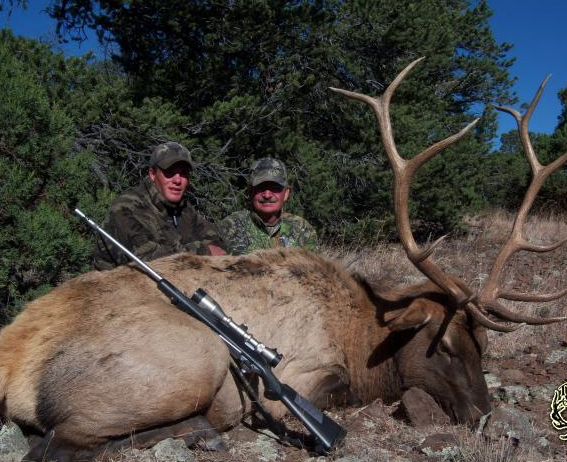 Arizona and New Mexico Elk | Limited Draw