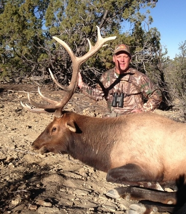 Midwestern New Mexico Elk | Gila
