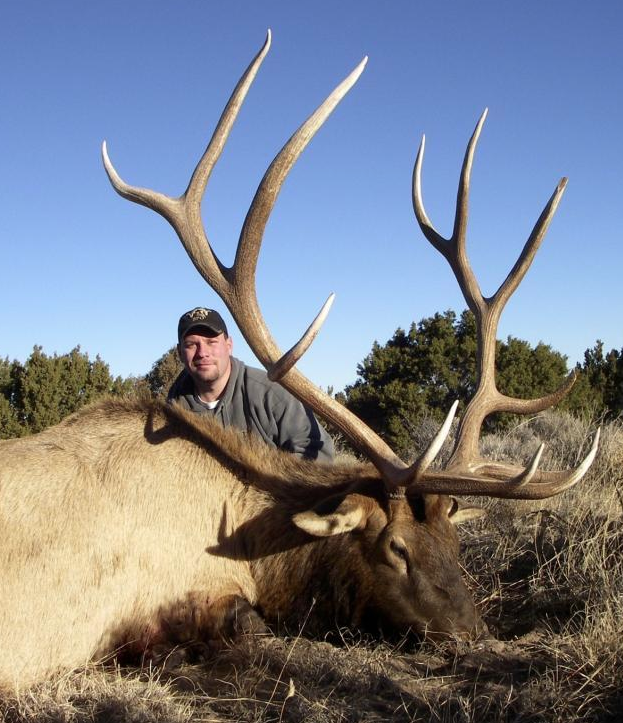 Midwestern New Mexico Elk | Gila