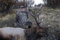 Northern New Mexico Elk