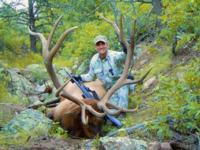 Southern New Mexico Elk