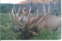 Southern New Mexico Elk