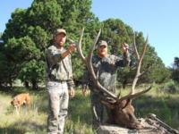 Southern New Mexico Elk