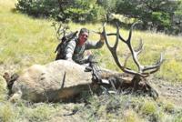 Southern New Mexico Elk