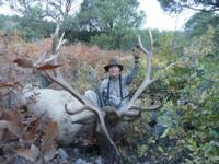 Southern New Mexico Elk