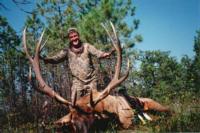 Southern New Mexico Elk