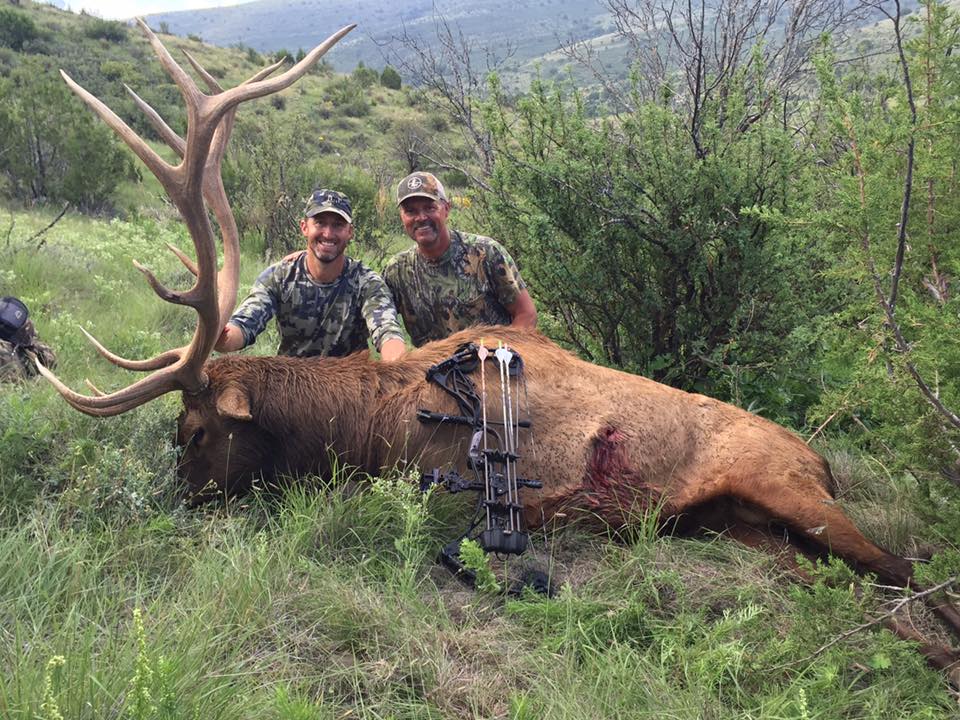 Trophy New Mexico Elk | Unit 34