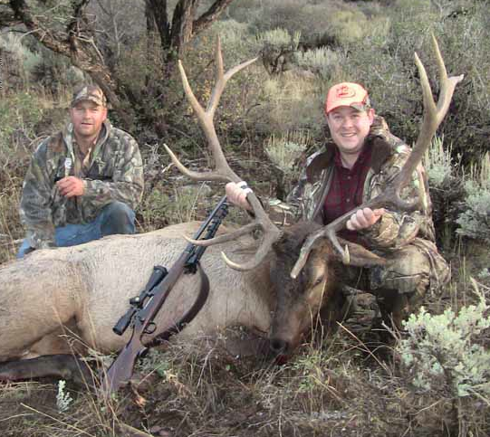 Utah Elk | Limited Entry & Landowner Tags