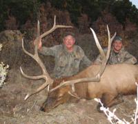 Utah Elk | Limited Entry & Landowner Tags