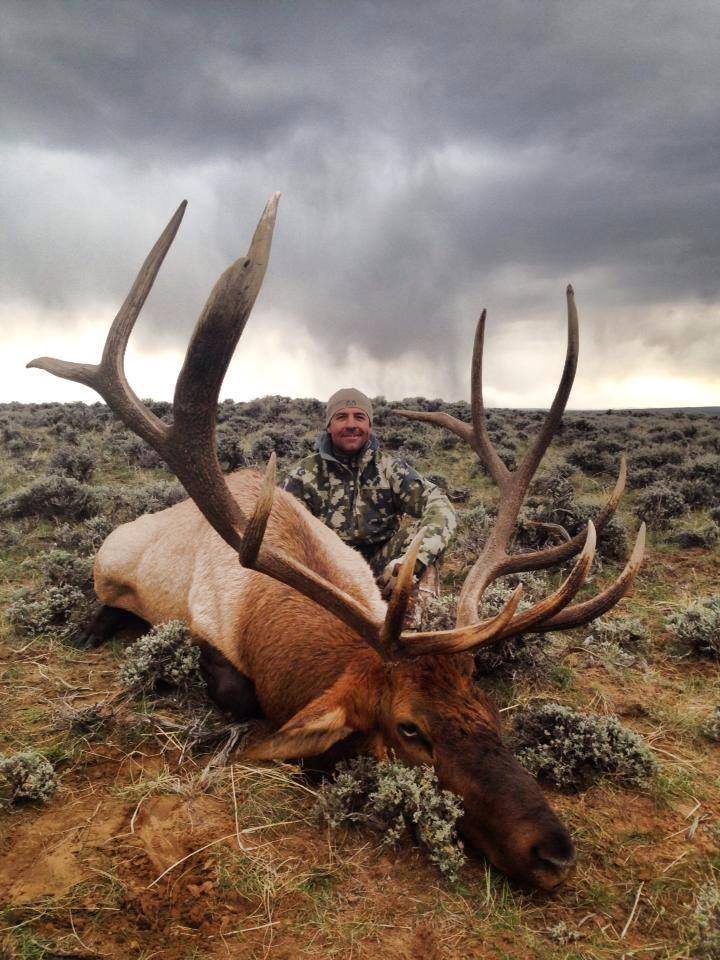 Wyoming Elk | General Permit & Area 7 Limited Entry