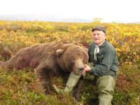 Alaskan Peninsula Brown Bear