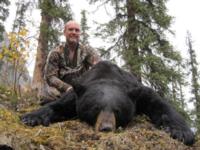 British Columbia Grizzly Bear