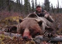 British Columbia Grizzly Bear