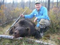 British Columbia Grizzly Bear