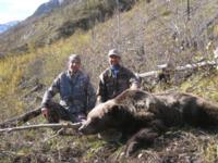 British Columbia Grizzly Bear