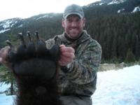 Coastal Alaskan Brown Bear