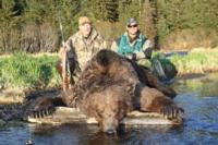 Coastal Alaskan Brown Bear