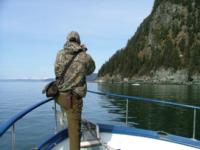 Coastal Alaskan Brown Bear