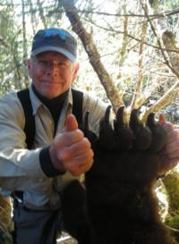 Coastal Alaskan Brown Bear