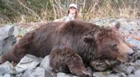 Coastal Alaskan Brown Bear