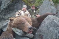 Coastal Alaskan Brown Bear