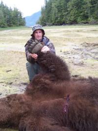 Southeastern Alaska Brown Bear