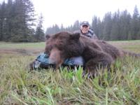 Southeastern Alaska Brown Bear