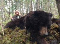 Southeastern Alaska Brown Bear