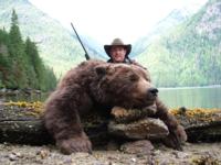 Southeastern Alaska Brown Bear