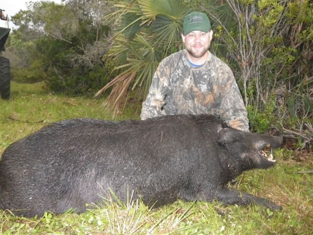 Florida Hogs